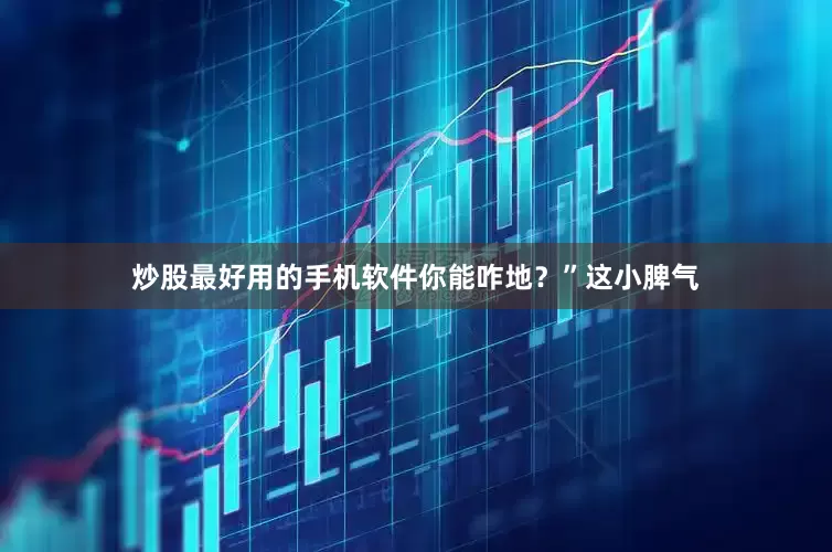 炒股最好用的手机软件你能咋地？”这小脾气