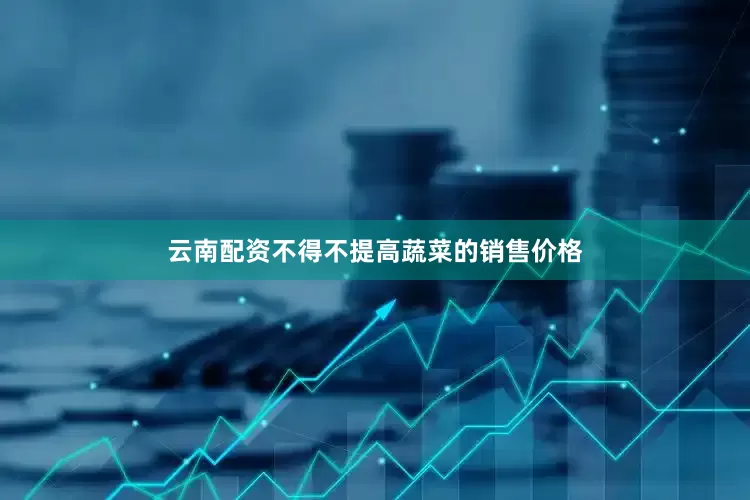 云南配资不得不提高蔬菜的销售价格