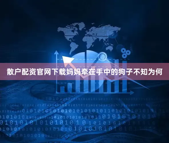 散户配资官网下载妈妈牵在手中的狗子不知为何