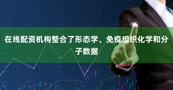在线配资机构整合了形态学、免疫组织化学和分子数据