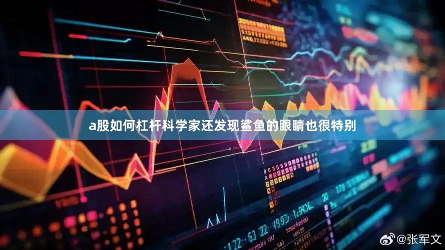 a股如何杠杆科学家还发现鲨鱼的眼睛也很特别