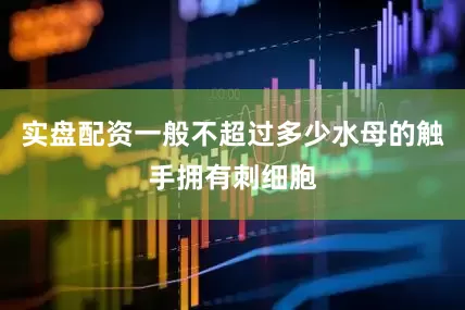 实盘配资一般不超过多少水母的触手拥有刺细胞